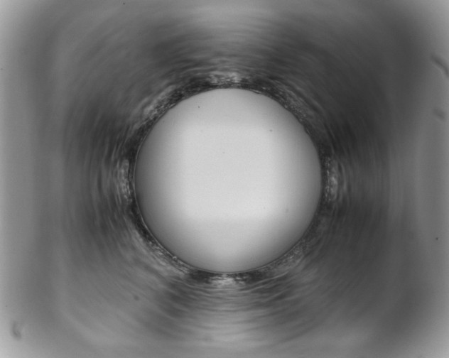 X0000102840616200808181026