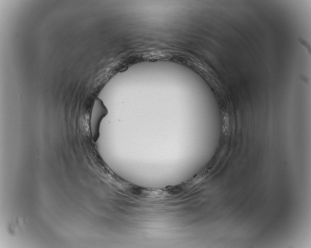 X0000102840621200808181026