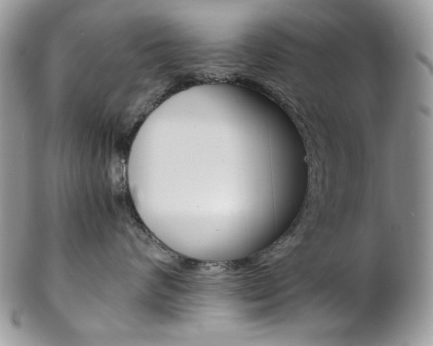 X0000102840624200808181026