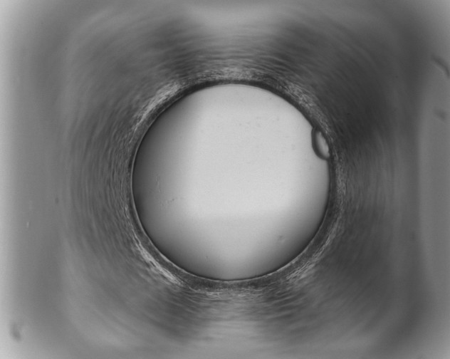 X0000102840625200808181025