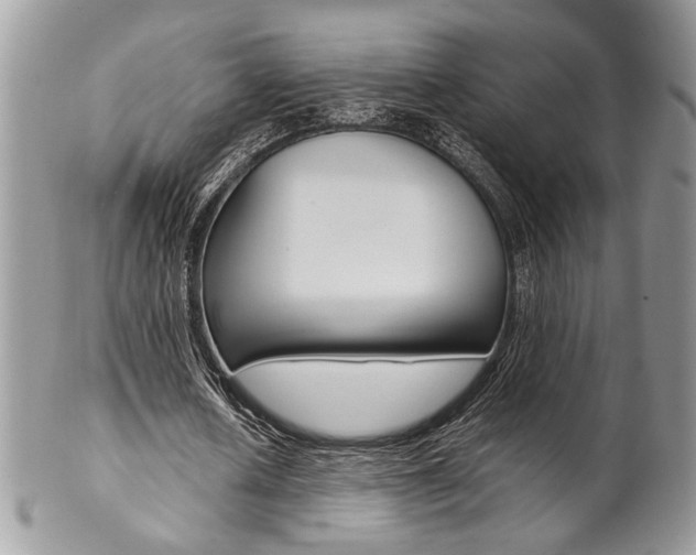 X0000102840626200808181025