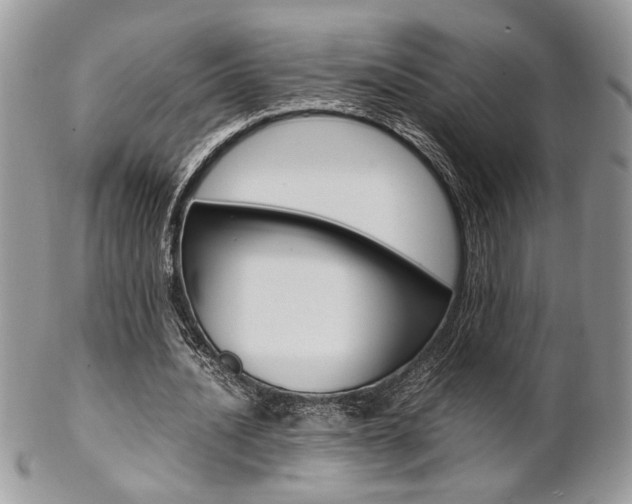 X0000102840628200808181025