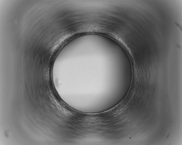 X0000102840629200808181025