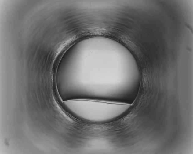 X0000102840630200808181025