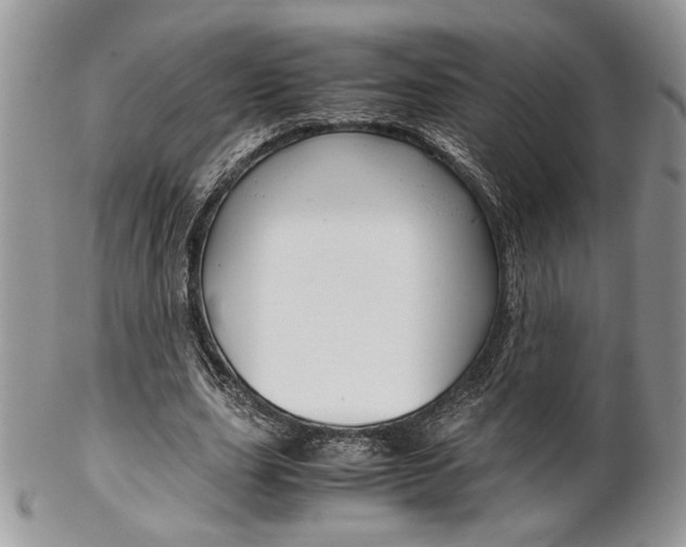 X0000102840631200808181025