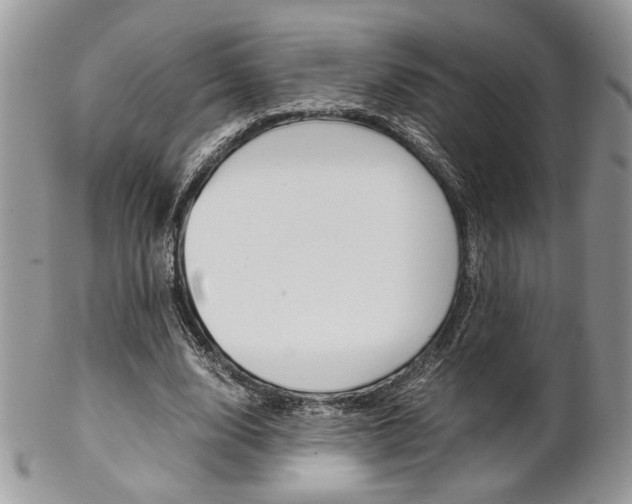X0000102840632200808181025
