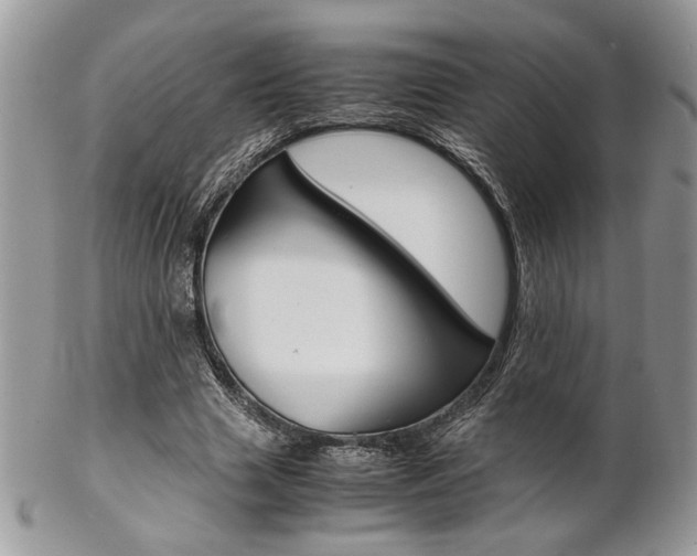 X0000102840633200808181025