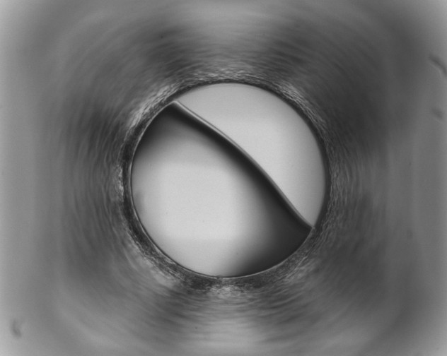 X0000102840634200808181025