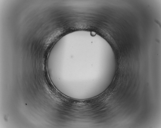 X0000102840635200808181025