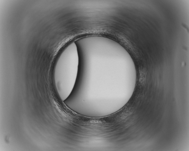 X0000102840636200808181025