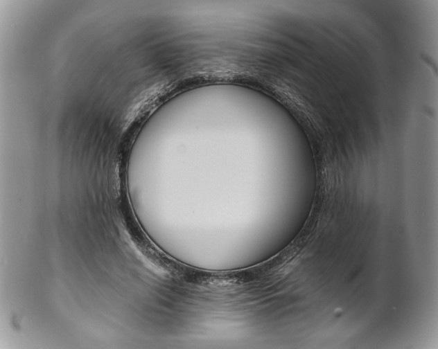 X0000102840638200808181025