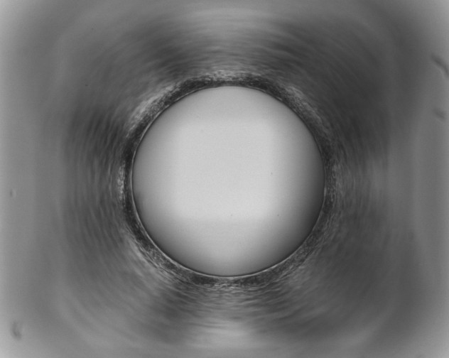 X0000102840640200808181025