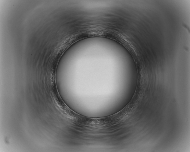X0000102840641200808181026