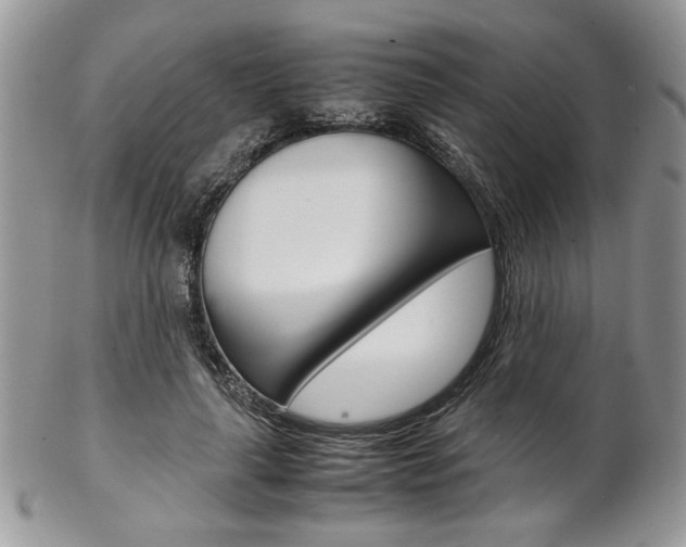 X0000102840643200808181026