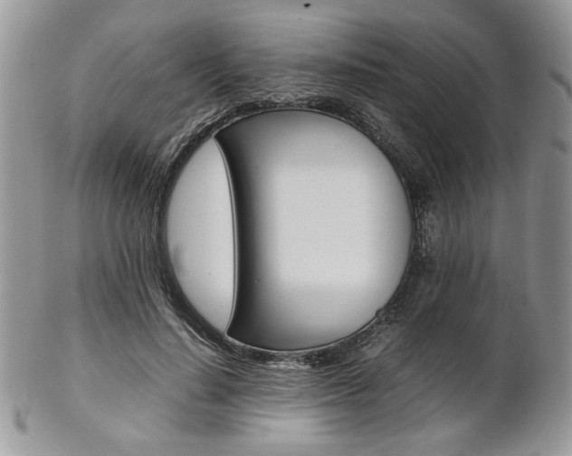 X0000102840644200808181026