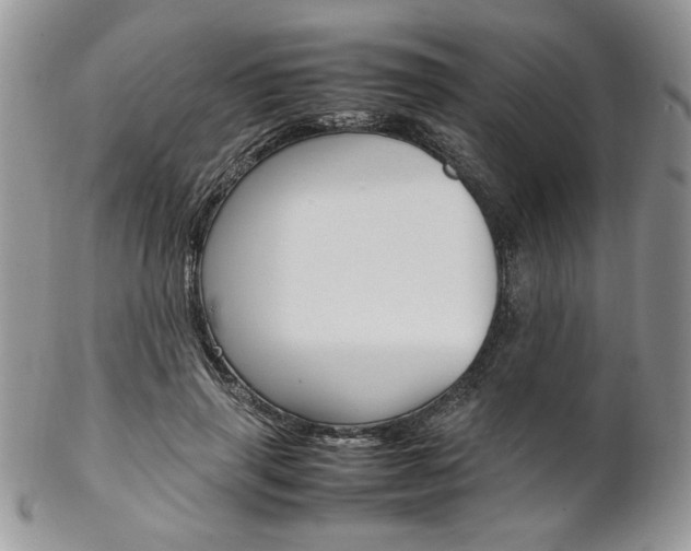X0000102840645200808181026