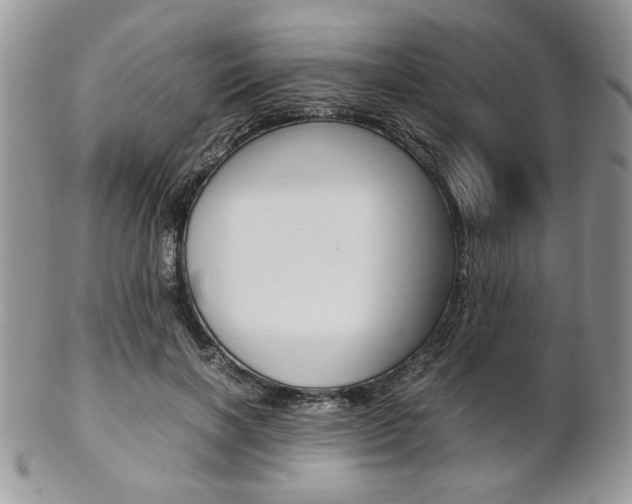 X0000102840646200808181026