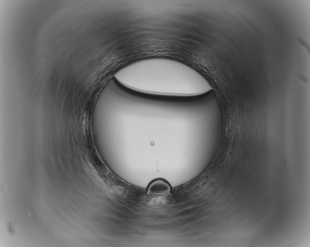 X0000102840647200808181026
