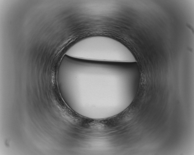 X0000102840648200808181026