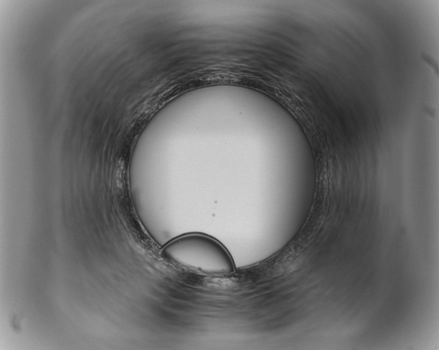 X0000102840649200808181026