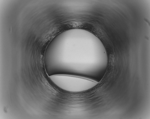 X0000102840650200808181026