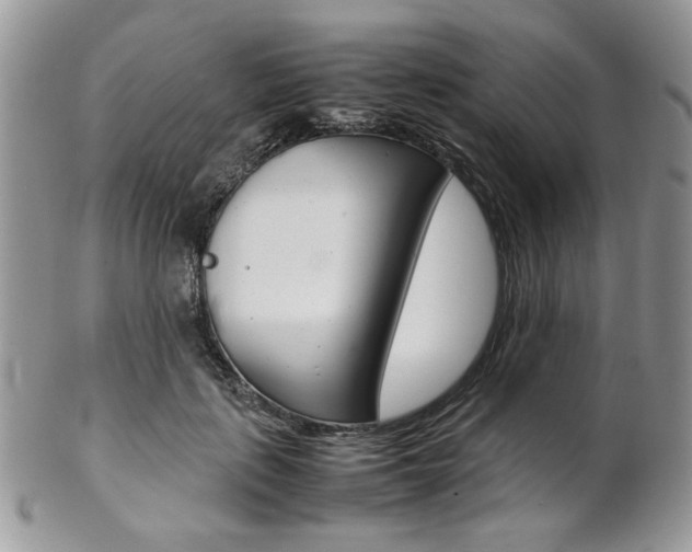 X0000102840651200808181026