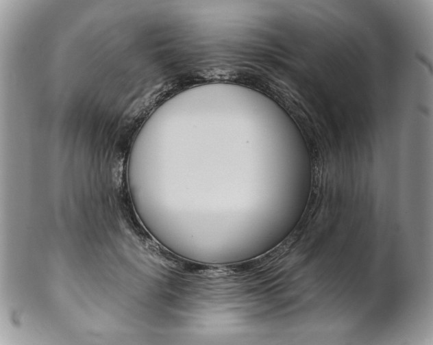 X0000102840652200808181026