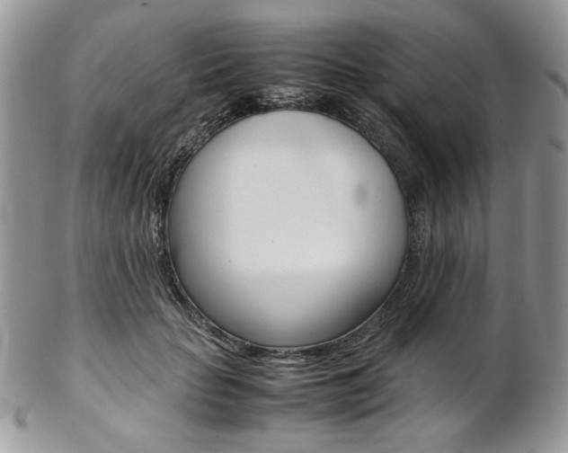 X0000102840653200808181026