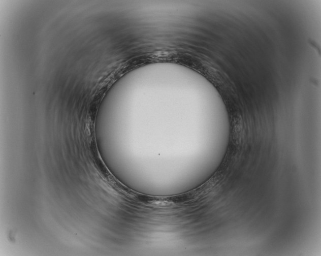 X0000102840654200808181026