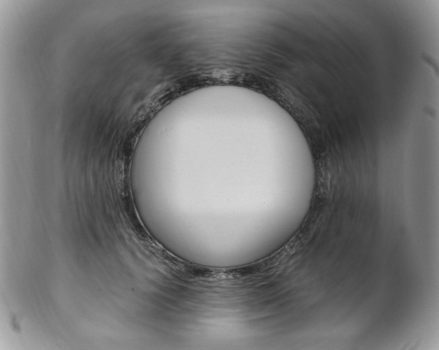 X0000102840656200808181026