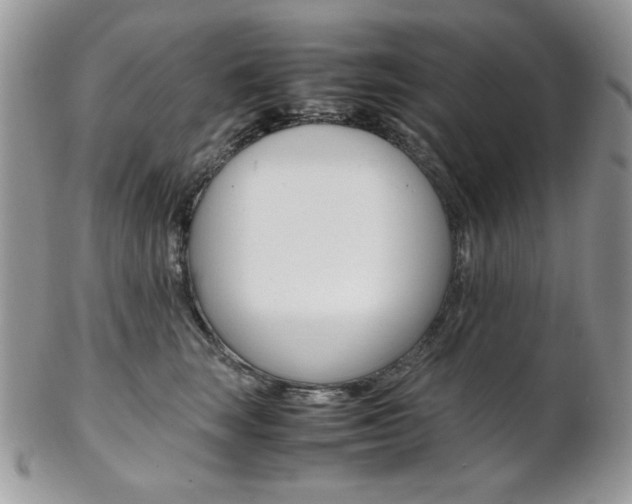 X0000102840663200808181026