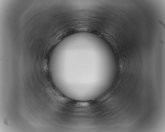 X0000102840665200808181026
