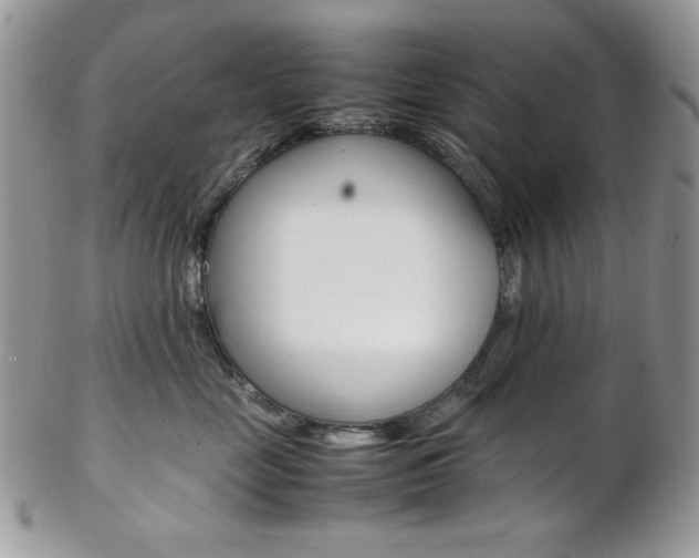 X0000102840669200808181026