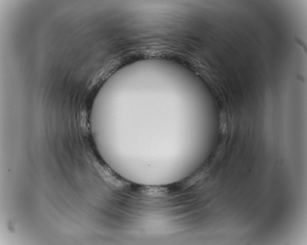 X0000102840670200808181026