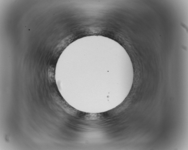 X0000102840672200808181026