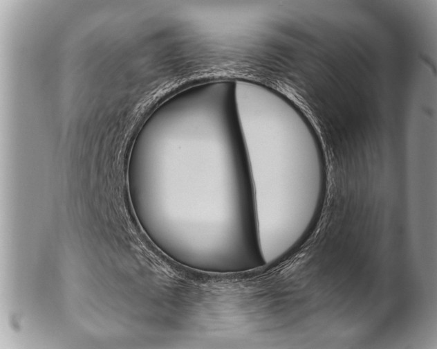 X0000102840673200808181025
