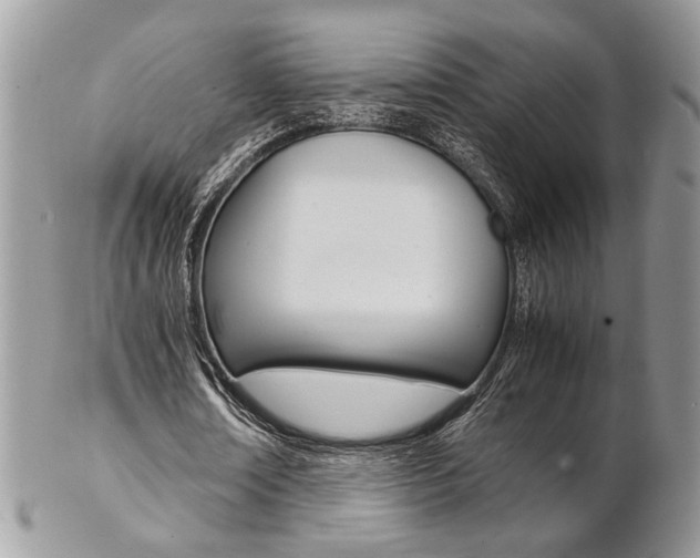 X0000102840674200808181025