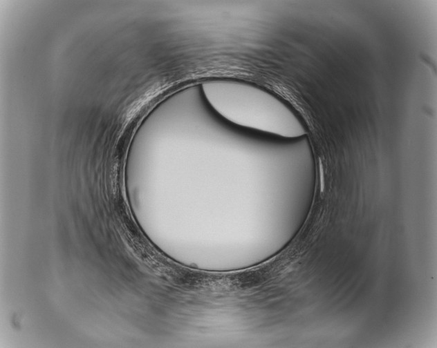 X0000102840675200808181025