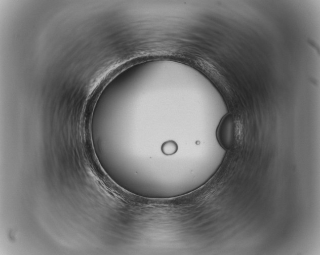 X0000102840676200808181025