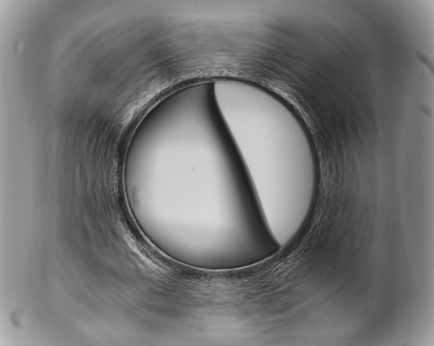 X0000102840677200808181025