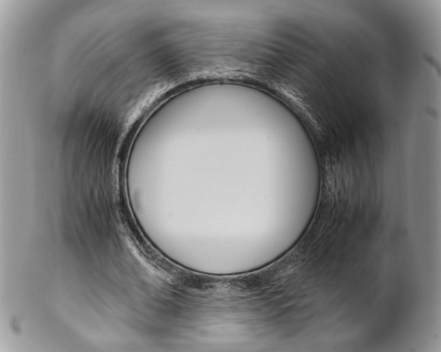 X0000102840678200808181025