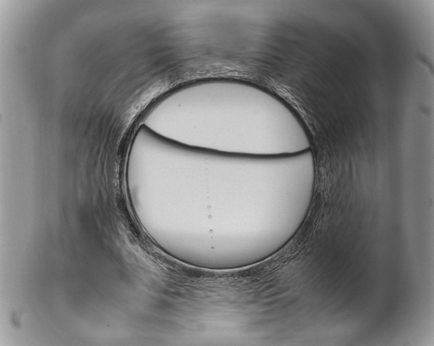 X0000102840679200808181025