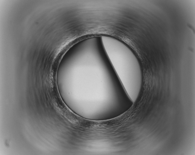 X0000102840680200808181025