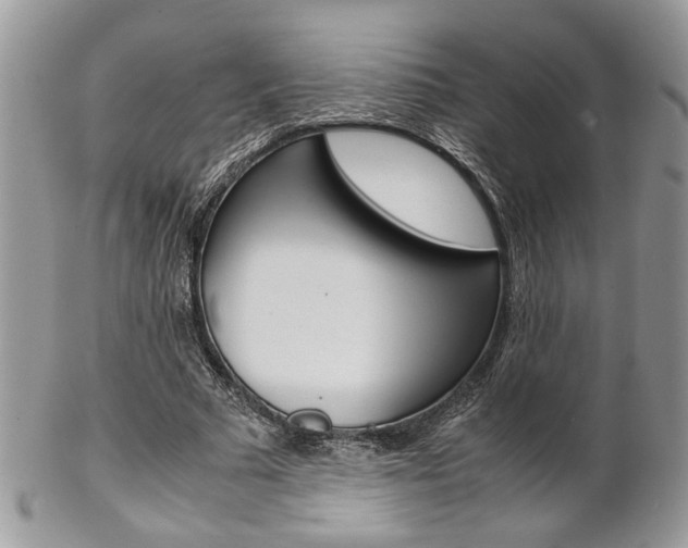 X0000102840681200808181025