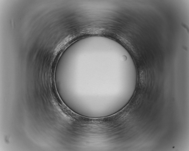 X0000102840682200808181025