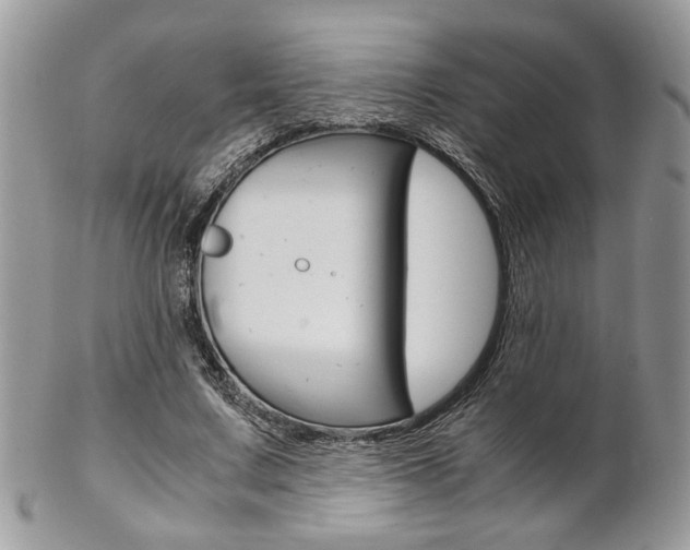 X0000102840683200808181025