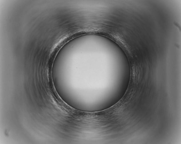 X0000102840684200808181025