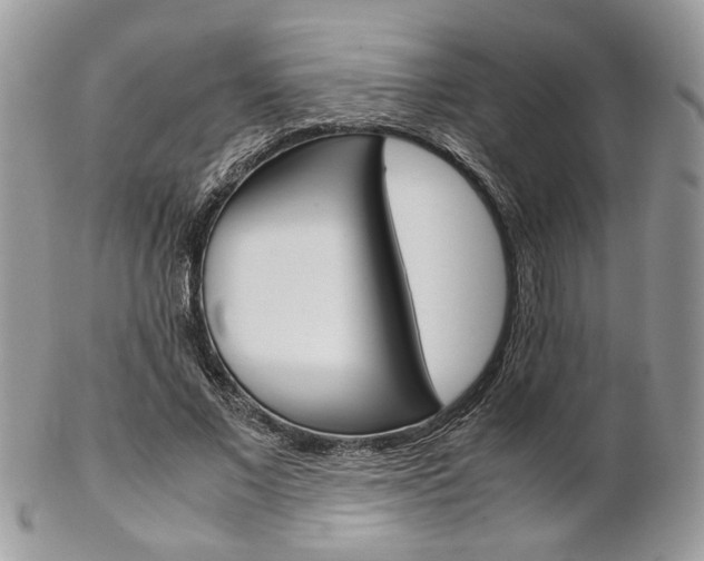 X0000102840685200808181025