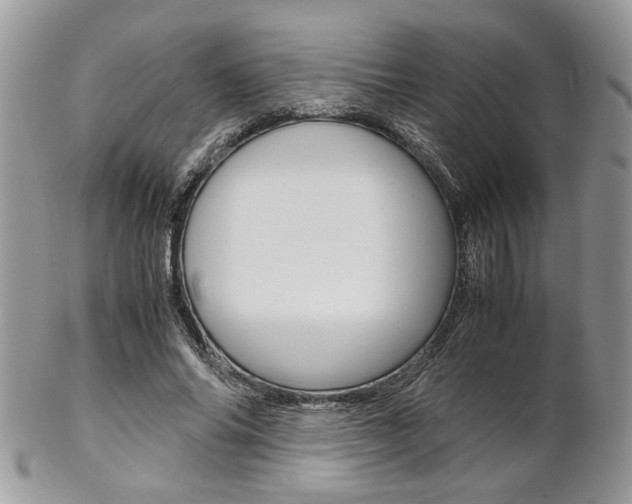 X0000102840686200808181025