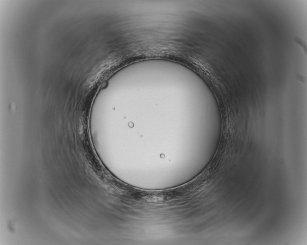 X0000102840687200808181025